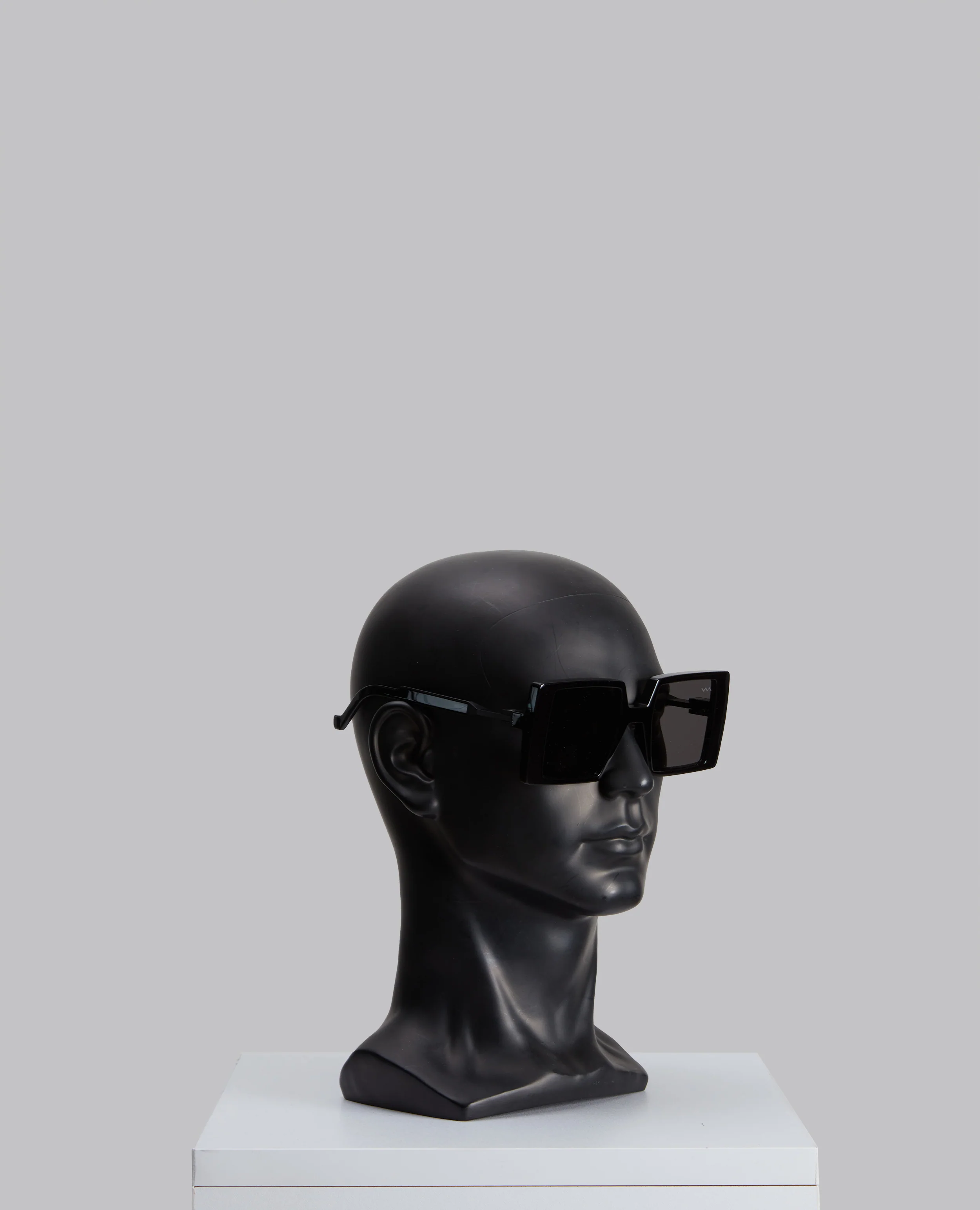 WL0002 Sunglasses - Image 3